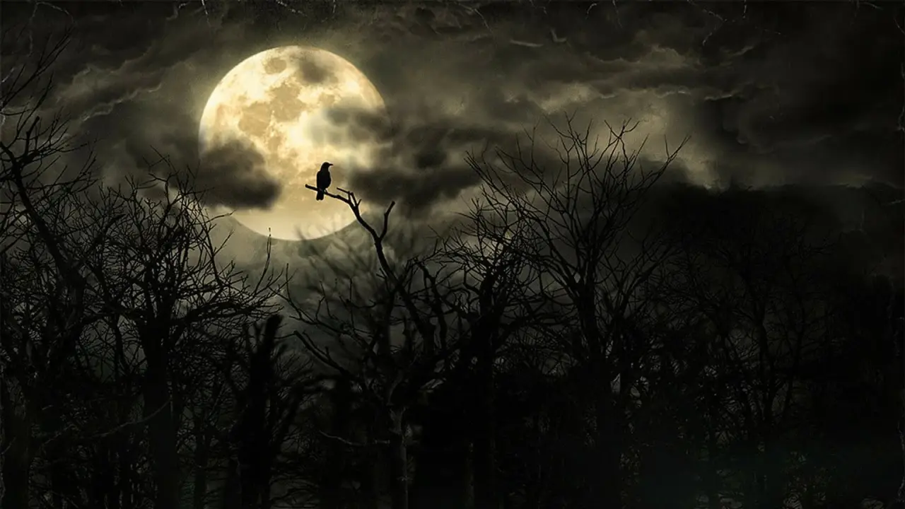 Background