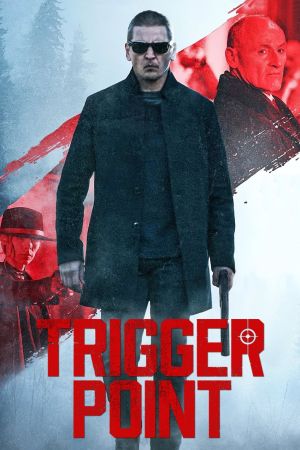 Image Trigger Point