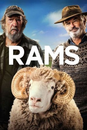 Image Besser wird's nicht – Der Film