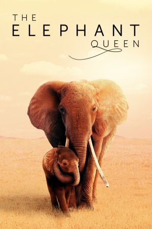 Image Die Elefantenmutter – Der Film