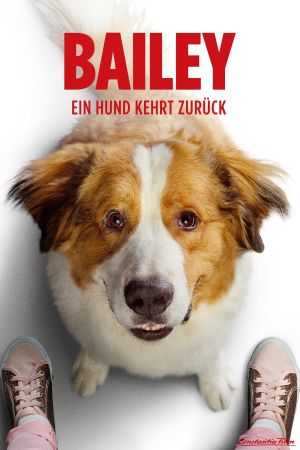 Image Bailey - Ein Hund kehrt zurück – Der Film