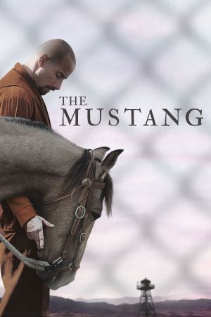 Image The Mustang – Der Film