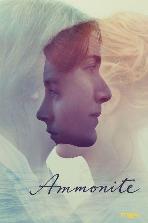 Image Ammonite – Der Film