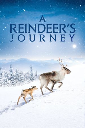 Image Ailos Reise – Der Film