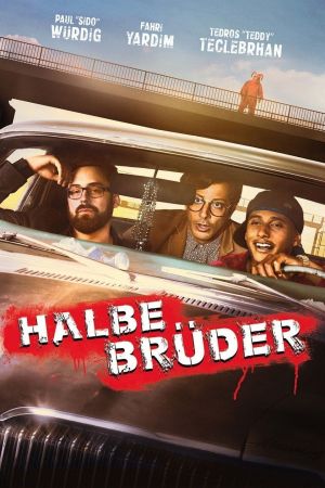 Image Halbe Brüder – Der Film