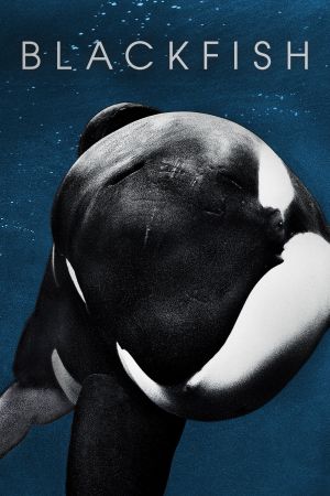 Image Blackfish – Der Film
