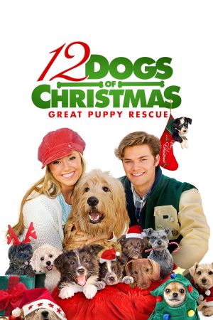 Image Einsatz auf vier Pfoten 2 - Das Weihnachtsmärchen geht weiter – Der Film