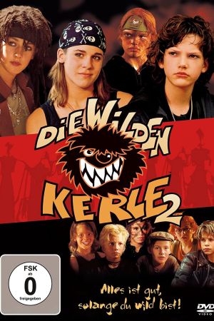 Image Die Wilden Kerle 2 – Der Film