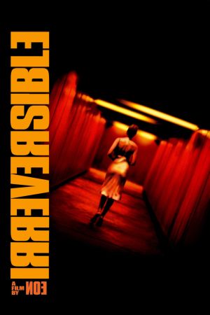 Image Irreversibel – Der Film