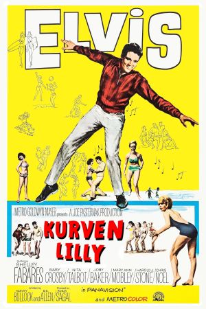 Image Kurven-Lilly – Der Film