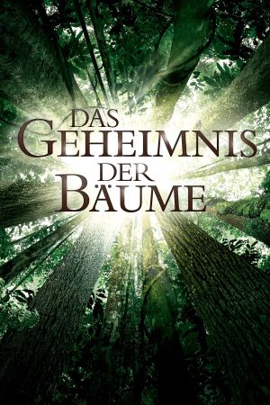 Image Das Geheimnis der Bäume – Der Film