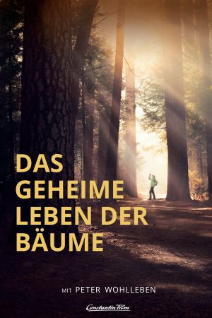 Image Das geheime Leben der Bäume – Der Film