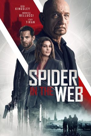 Image Spider In The Web – Der Film