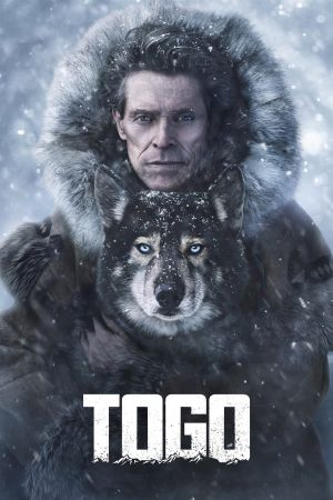 Image Togo – Der Film