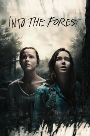 Image Into the Forest – Der Film