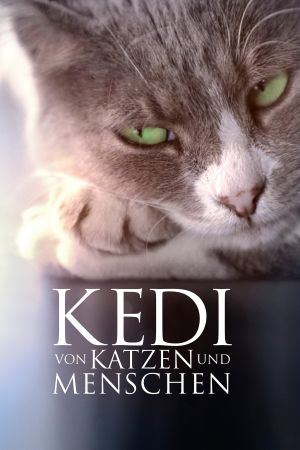 Image Kedi: Von Katzen und Menschen – Der Film