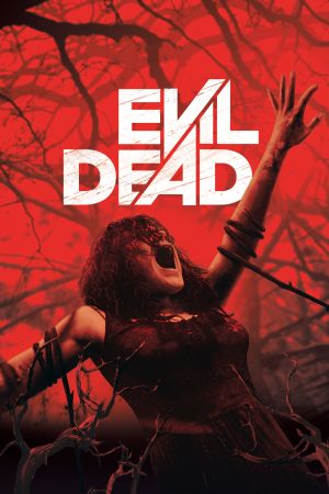 Image Evil Dead – Der Film