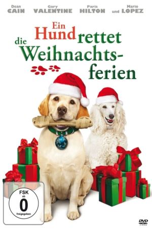 Image Ein Hund rettet die Weihnachtsferien – Der Film
