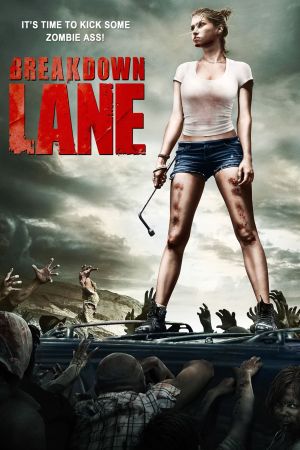 Image Breakdown Lane – Der Film