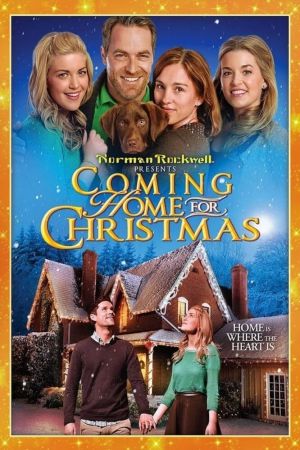 Image Coming Home for Christmas - Eine Familie zur Bescherung – Der Film