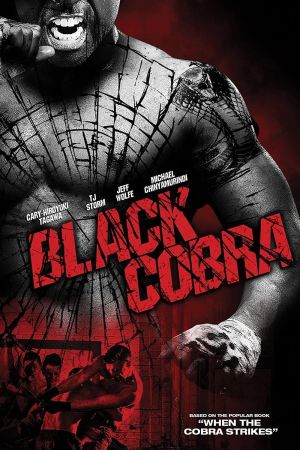 Image Black Cobra - Schwarze Diamanten – Der Film