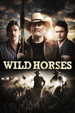 Image Wild Horses – Der Film