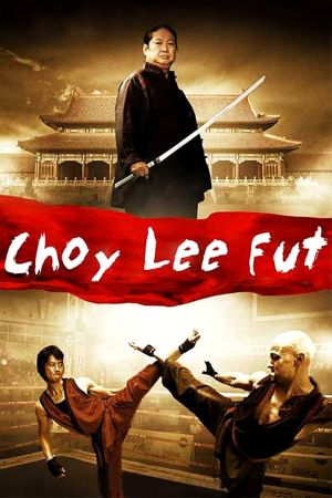 Image Choy Lee Fut – Der Film