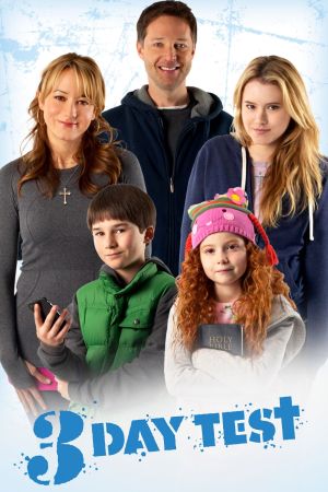 Image Weihnachten allein zu Haus – Der Film