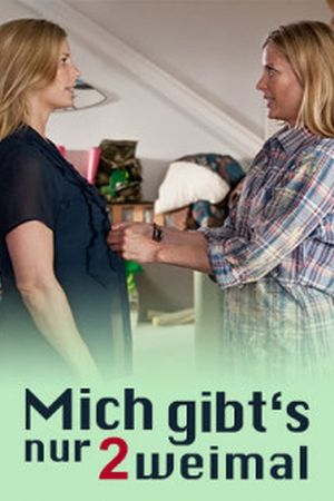 Image Mich gibt's nur zweimal – Der Film
