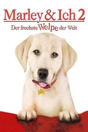 Image Marley & Ich 2 - Der frechste Welpe der Welt – Der Film