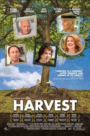 Image Ein letzter Sommer – Der Film