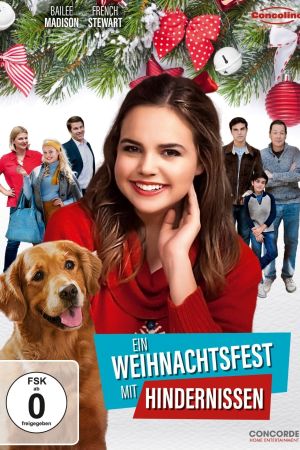 Image Ein Weihnachtsfest mit Hindernissen – Der Film