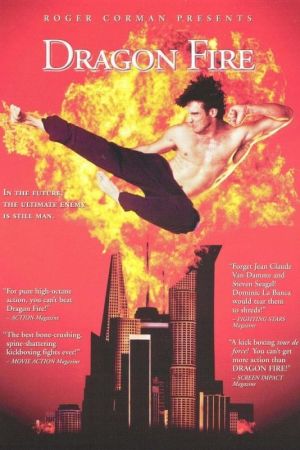 Image Im Feuer des Drachen – Der Film