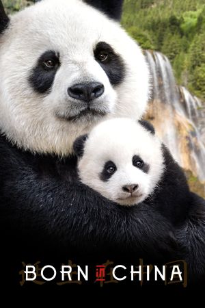 Image Born in China – Der Film