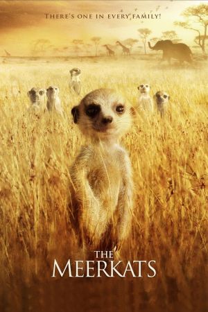 Image Wächter der Wüste – Der Film