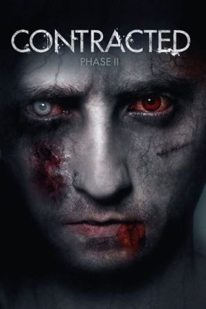 Image Contracted: Phase II – Der Film