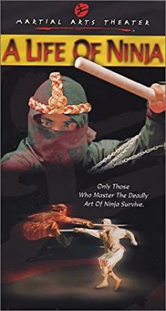 Image Die Rache des Ninjas – Der Film