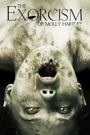 Image Molly Hartley 2 - Der Exorzismus – Der Film