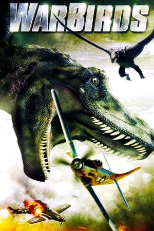 Image Warbirds - Drachen des Todes – Der Film