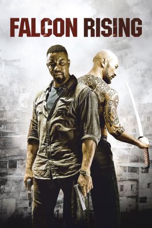 Image Falcon Rising – Der Film