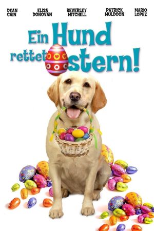 Image Ein Hund rettet Ostern – Der Film