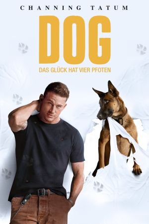 Image Dog - Das Glück hat vier Pfoten – Der Film