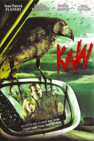 Image Die Vögel - Attack from above – Der Film