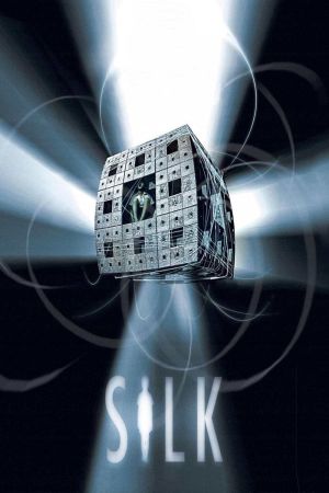 Image Silk – Der Film