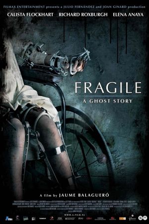 Image Fragile – Der Film