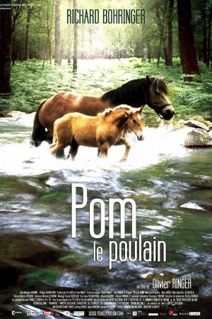 Image Pom, das treue Fohlen – Der Film