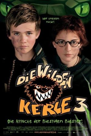 Image Die Wilden Kerle 3 – Der Film