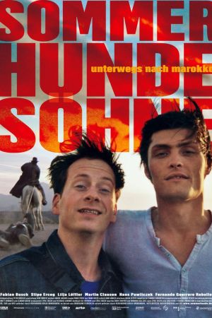 Image SommerHundeSöhne – Der Film