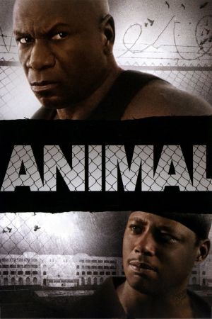 Image Animal - Gewalt hat einen Namen – Der Film