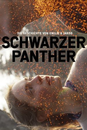 Image Schwarzer Panther – Der Film
